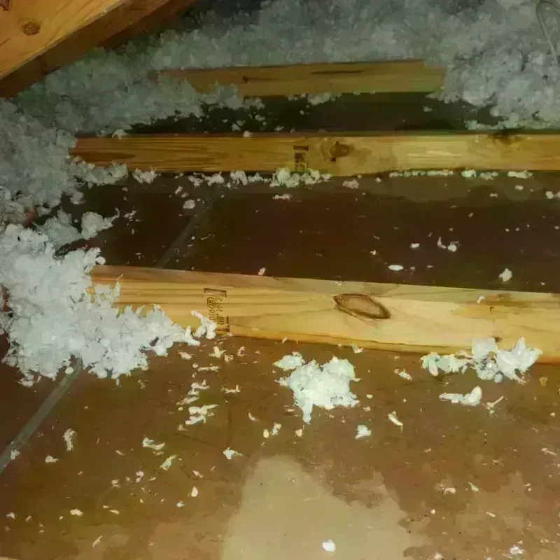 Attic Water Damage in Clinton, TN