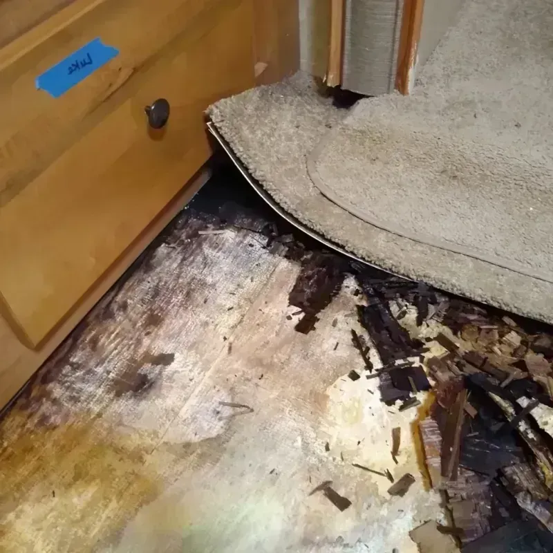 Wood Floor Water Damage in Clinton, TN